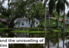 In fall 2024, Tampa and other Florida cities on the Gulf coast were hit by hurricanes Helene and Milton within 13 days of each other. Giorgio Viera/AFP via Getty Images
